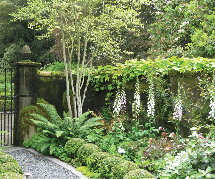 Parterre Garden Design Services Bella Luna Farms